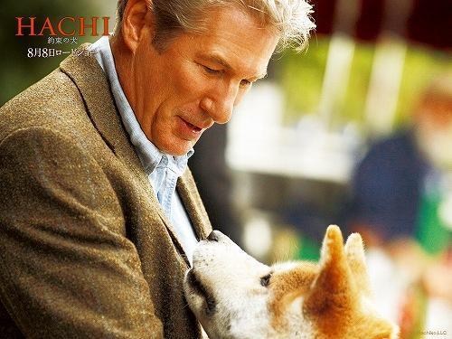 映画：HACHI 約束の犬＆秋田犬ハチ公: 東北の山遊び