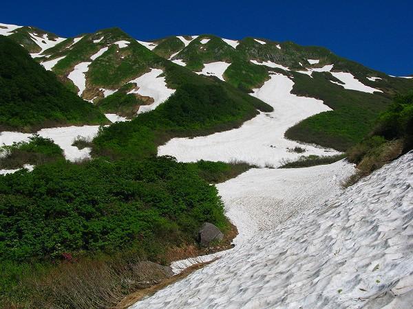 2010.06.25 月山（山形・月山）: 東北の山遊び